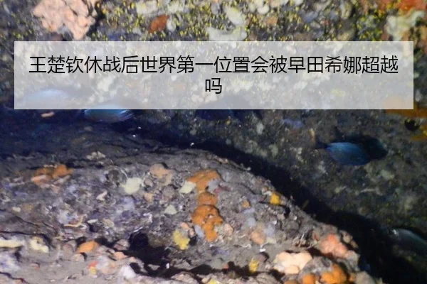王楚钦休战后世界第一位置会被早田希娜超越吗